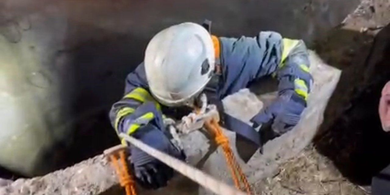 Batman'da su kuyusuna düşen çakalı itfaiye ekipleri kurtardı