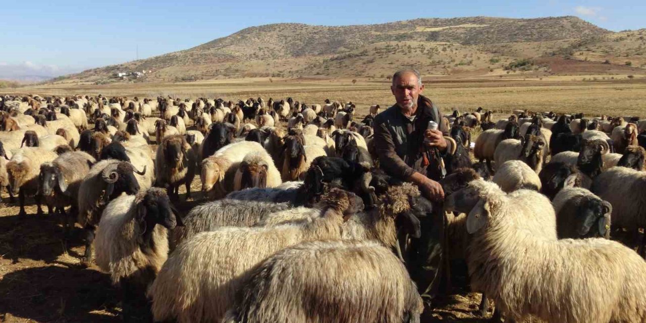 Gercüş’te göçerlerin zorlu yolculuğu