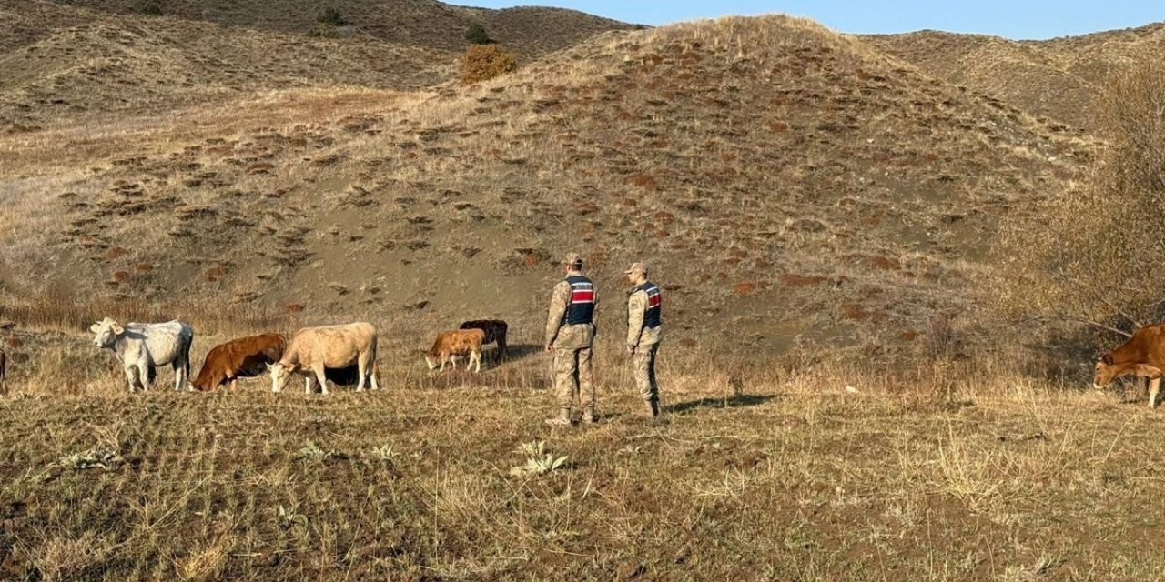 Refahiye’de kaybolan hayvanlar bulunarak sahibine teslim edildi