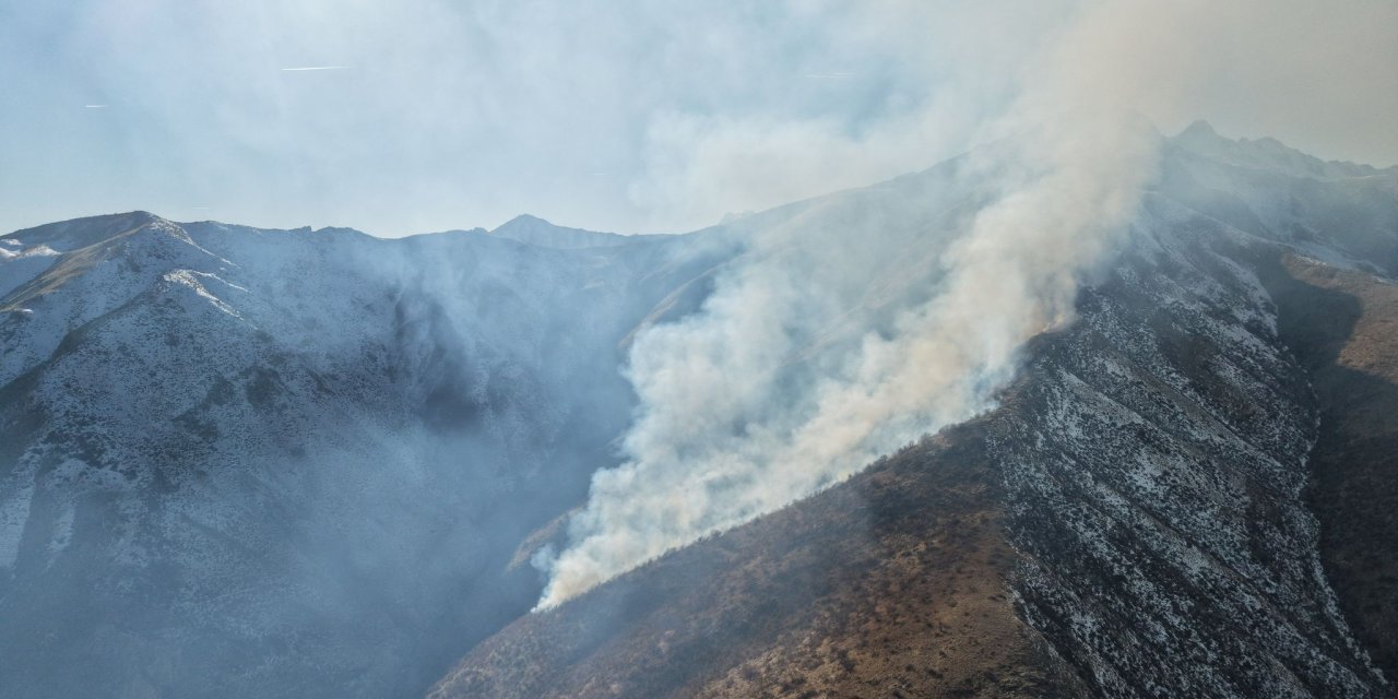 Şemdinli'de örtü yangını ağaçlık alana sıçradı