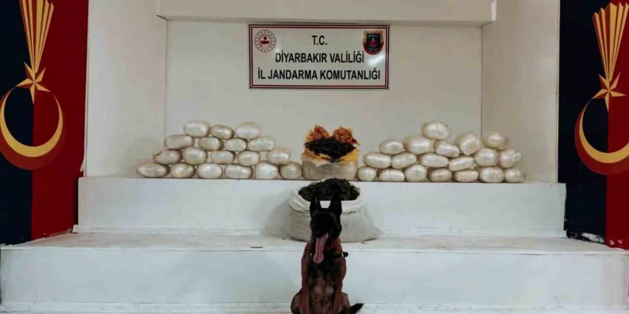 Lice'de 470 kilo skunk ve 85 kilo esrar yakalandı