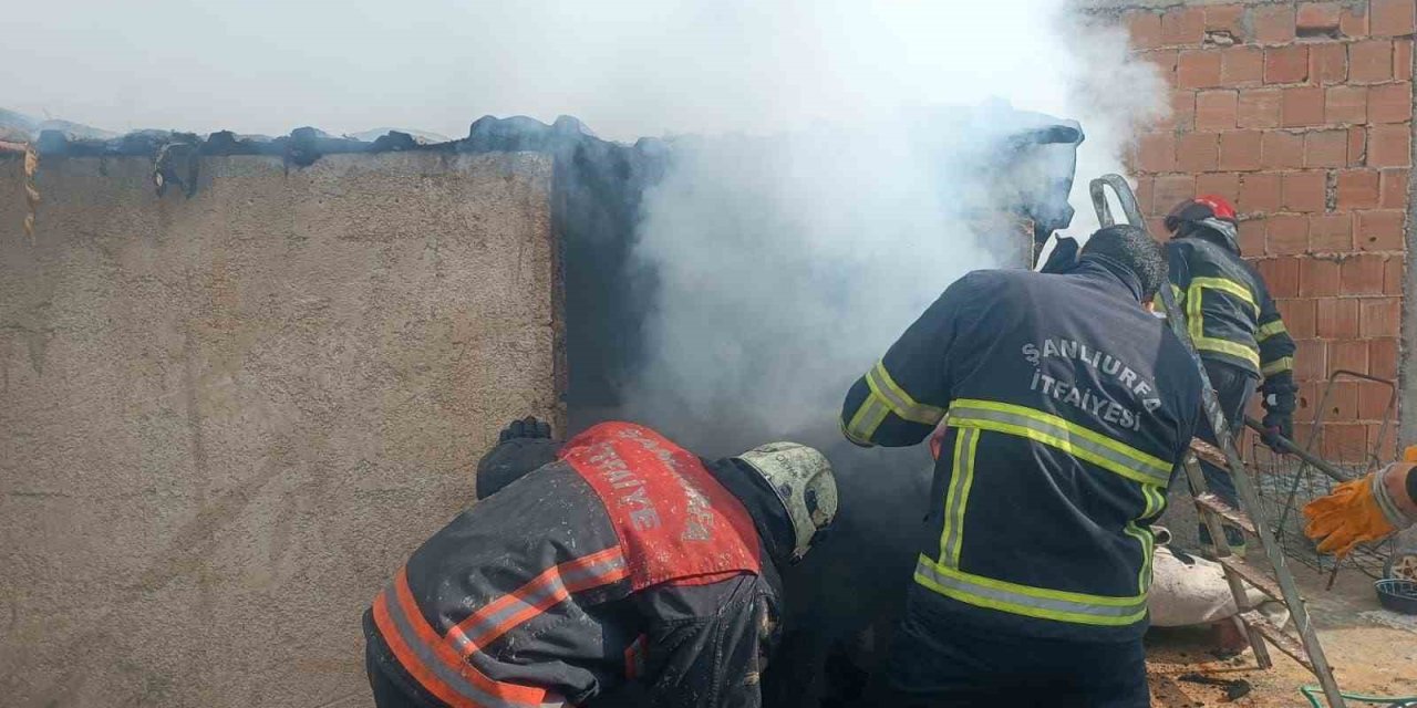 Urfa’da mesken yangını söndürüldü