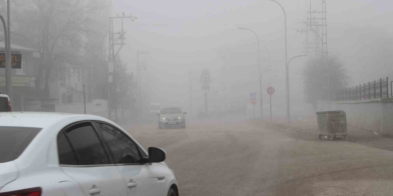 Muş'un Malazgirt ilçesinde sis etkili oldu