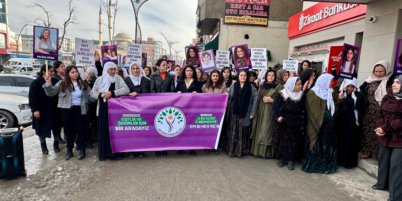 Yüksekova’da Kadına Yönelik Şiddete Karşı yürüyüş düzenlendi