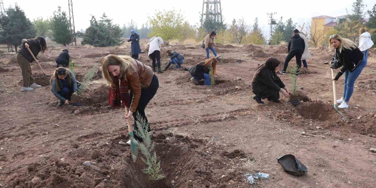 Diyarbakır'da kadına yönelik şiddete dikkat çekmek amacıyla fidan dikim etkinliği yapıldı