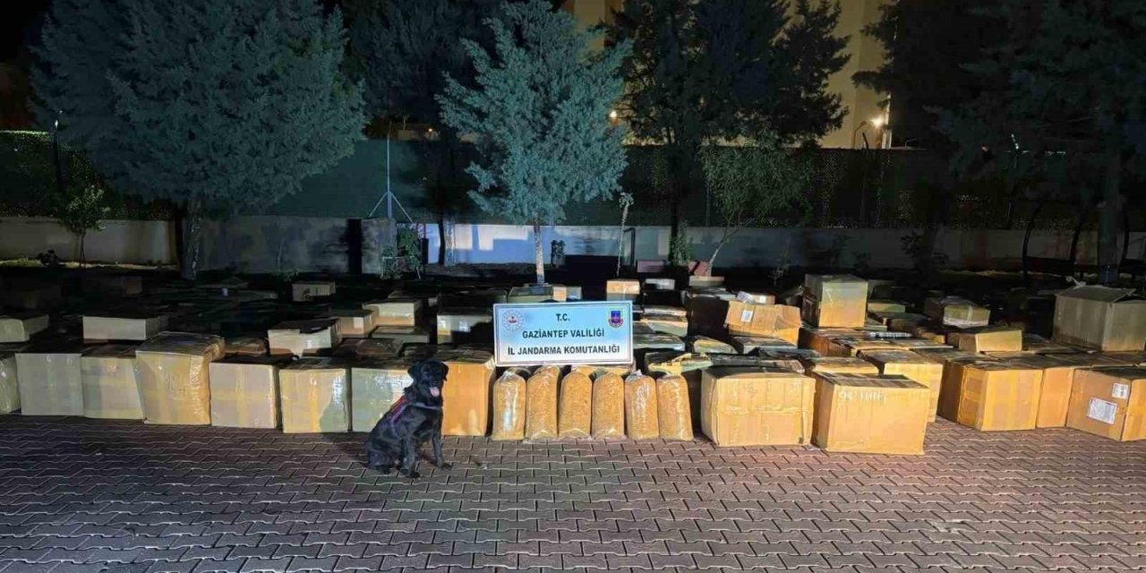Gaziantep’te 7 ton kaçak tütün ele geçirildi: 1 kişi gözaltına alındı