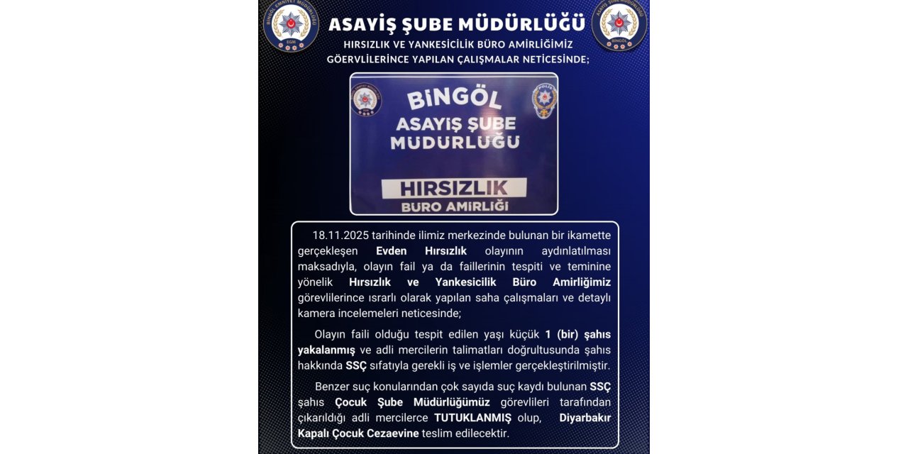 Bingöl’de hırsızlık olayının faili tutuklandı