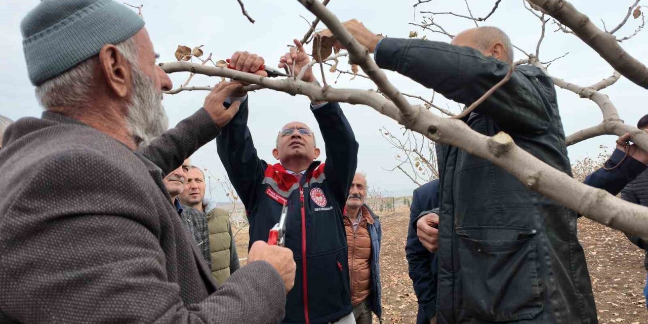 Siirt’te fıstık üreticilerine teorik ve pratik ‘budama’ ile ‘gübreleme’ eğitimi