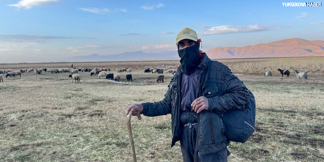 Yüksekova’daki sazlık yangını hayvancılığı da olumsuz etkiledi