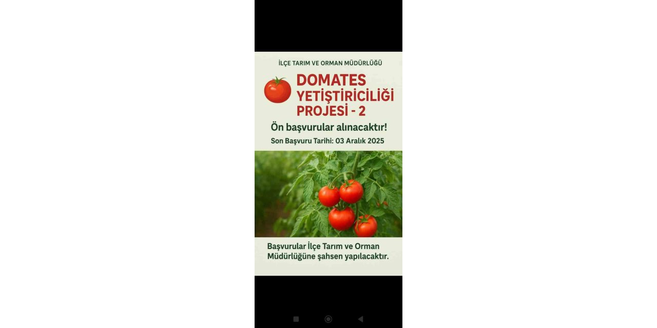 Muradiye’de "Domates Yetiştiriciliği" projesi için başvurular başladı