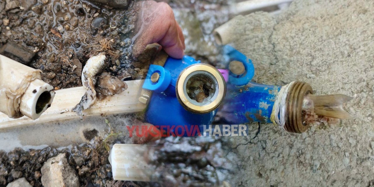 “Kötü koku” şikâyetiyle açtığı su sayacından balıklar çıktı