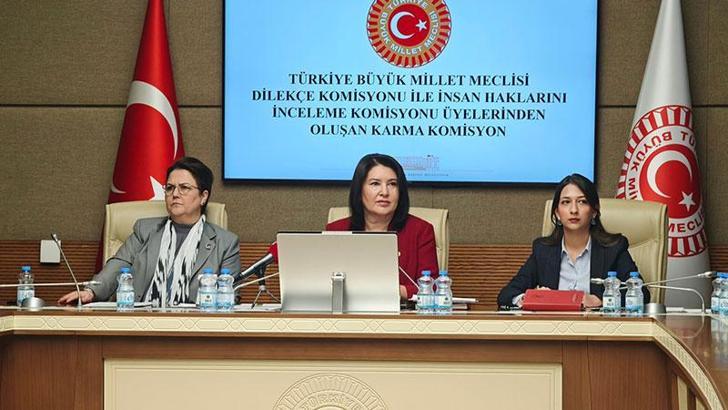 Karma komisyonda 'İmralı ziyareti' tartışması