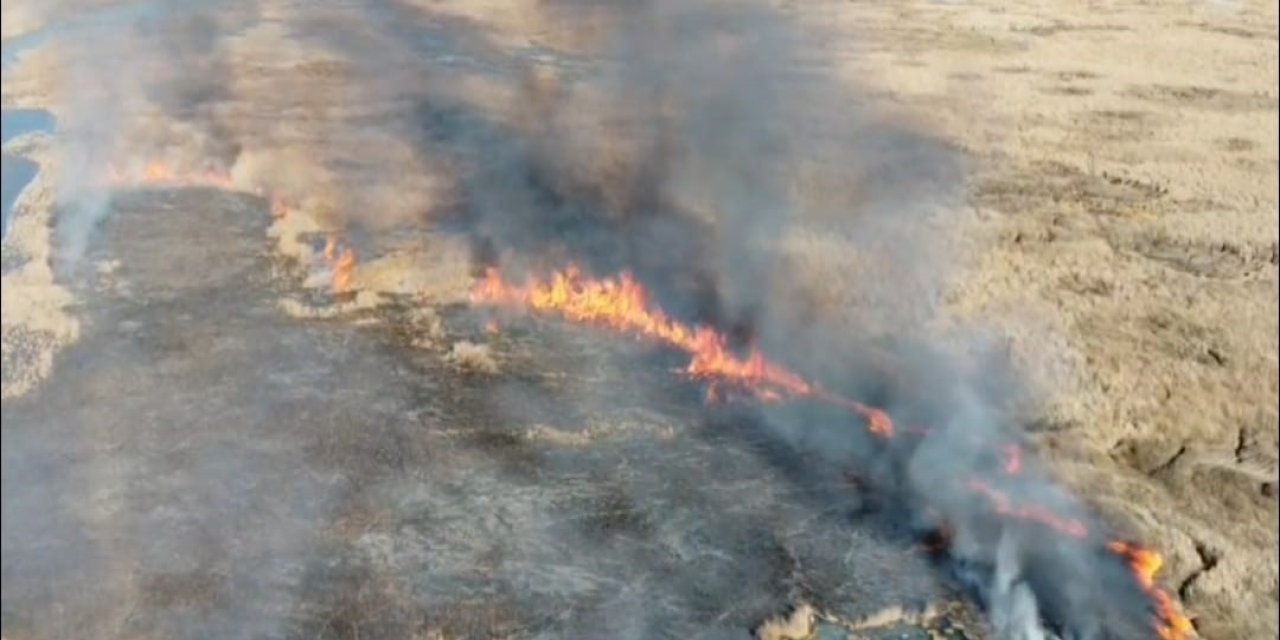 Van’da çıkan sazlık yangını korkuttu