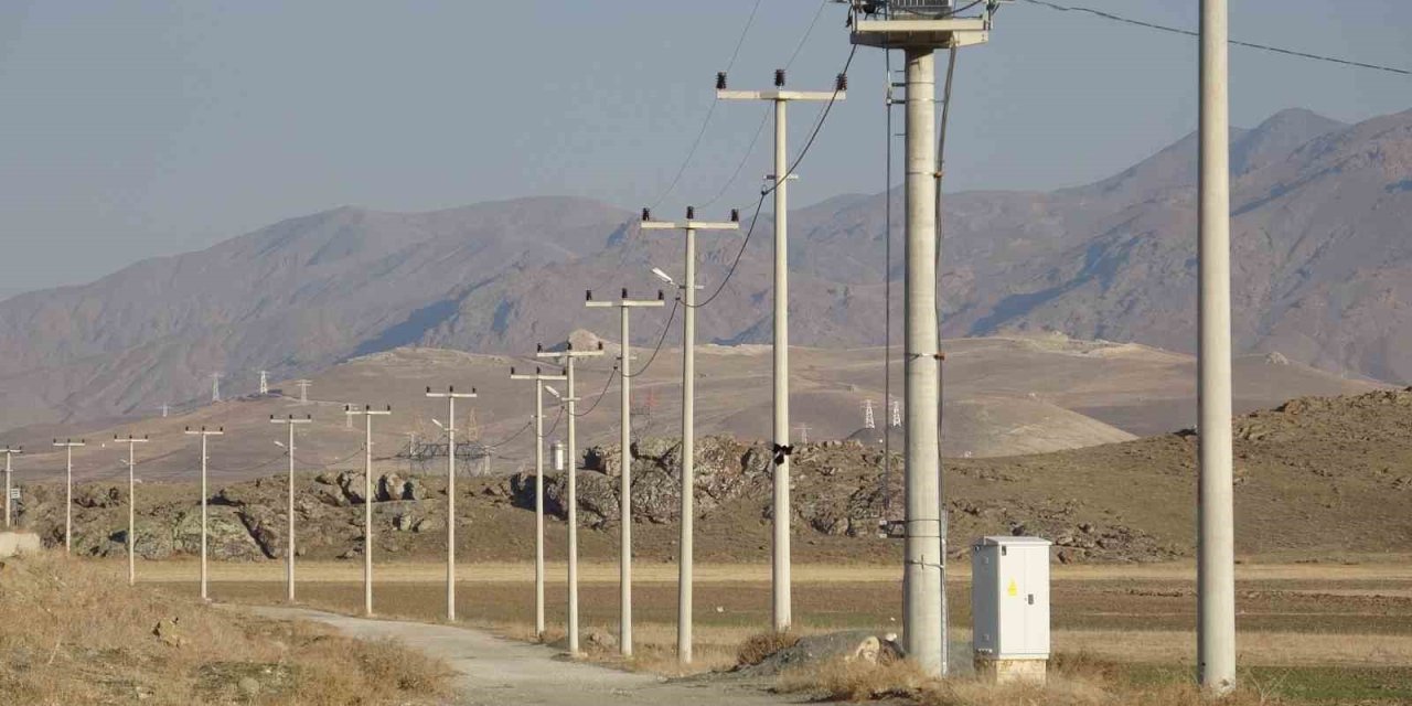 Van’da düşen enerji hattı yaban hayvanlarını öldürdü