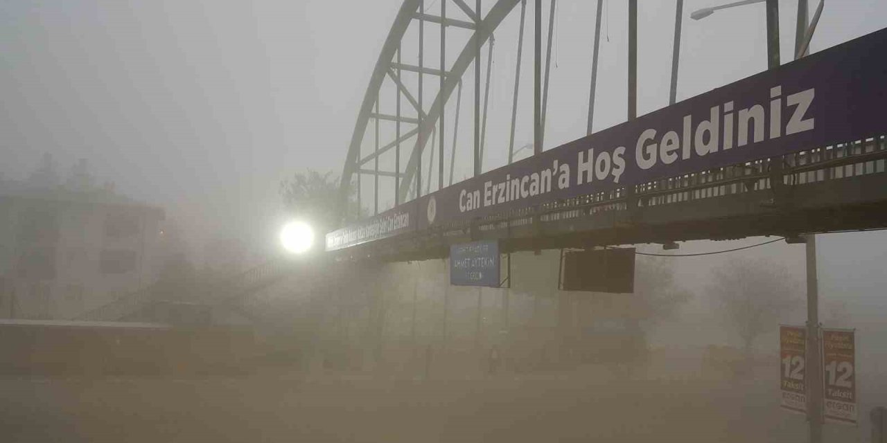 Erzincan'da sis etkili oldu