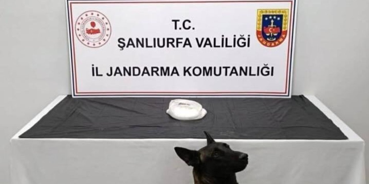 Şanlıurfa’da uyuşturucu operasyonu: 2 kişi gözaltına alındı