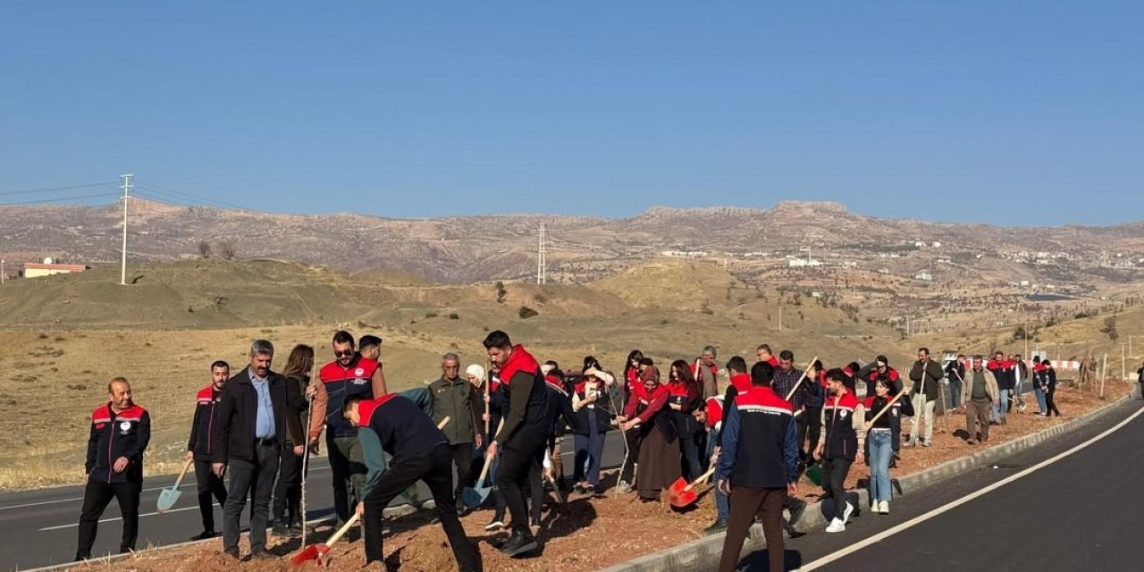 Şırnak-Cizre karayolu refüjünde 365 fidanlık ağaç dikimi yapıldı