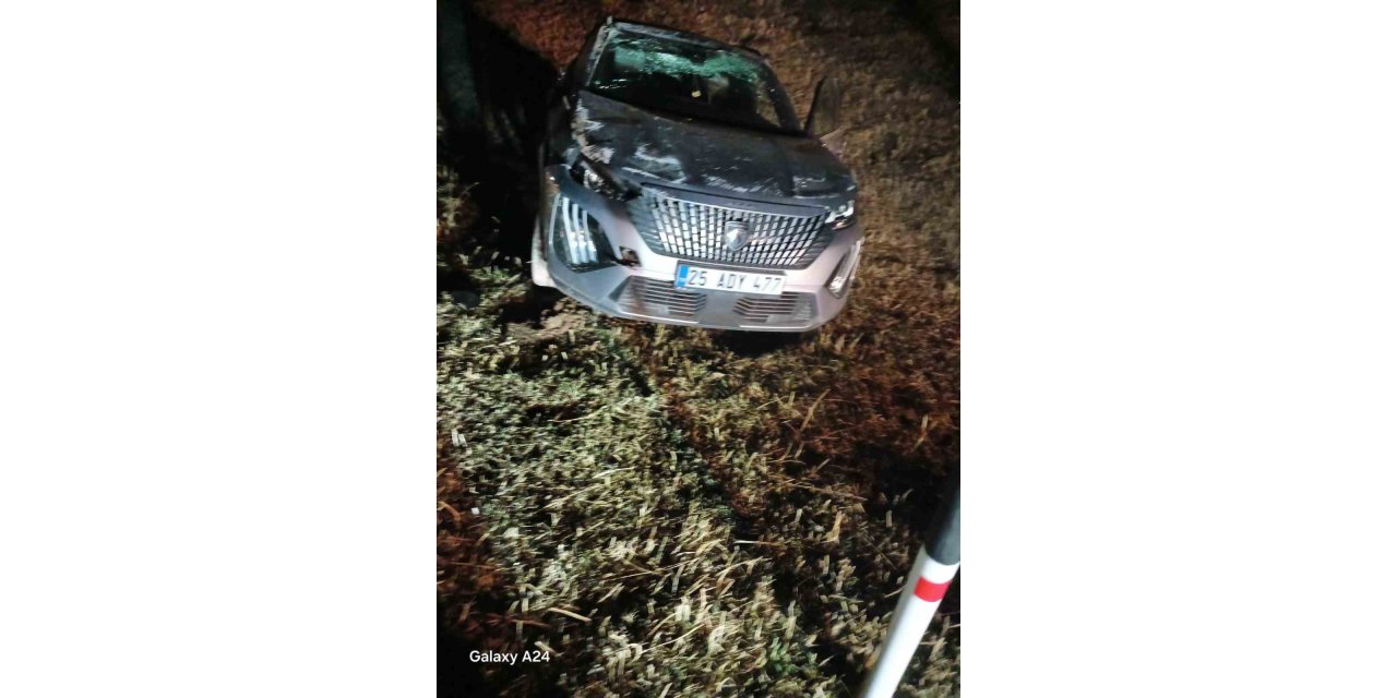 Erzurum'un Karayazı ilçesinde şoförün tecrübesi facianın önüne geçti