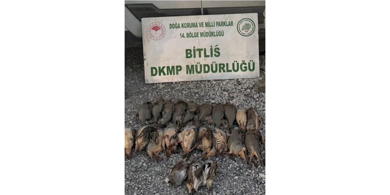 Bitlis’te kota aşımı yapan 5 avcıya ceza