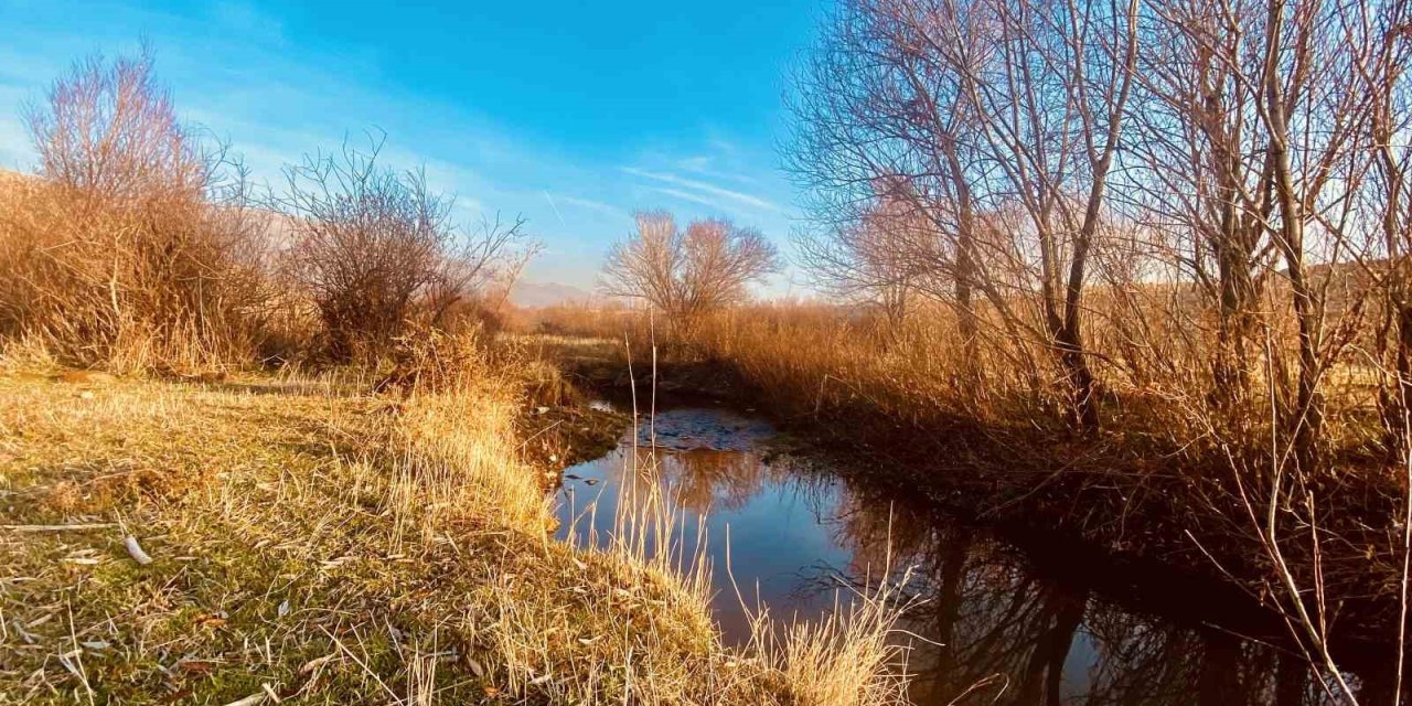 Sonbaharda sararan yapraklar görsel şölen sundu