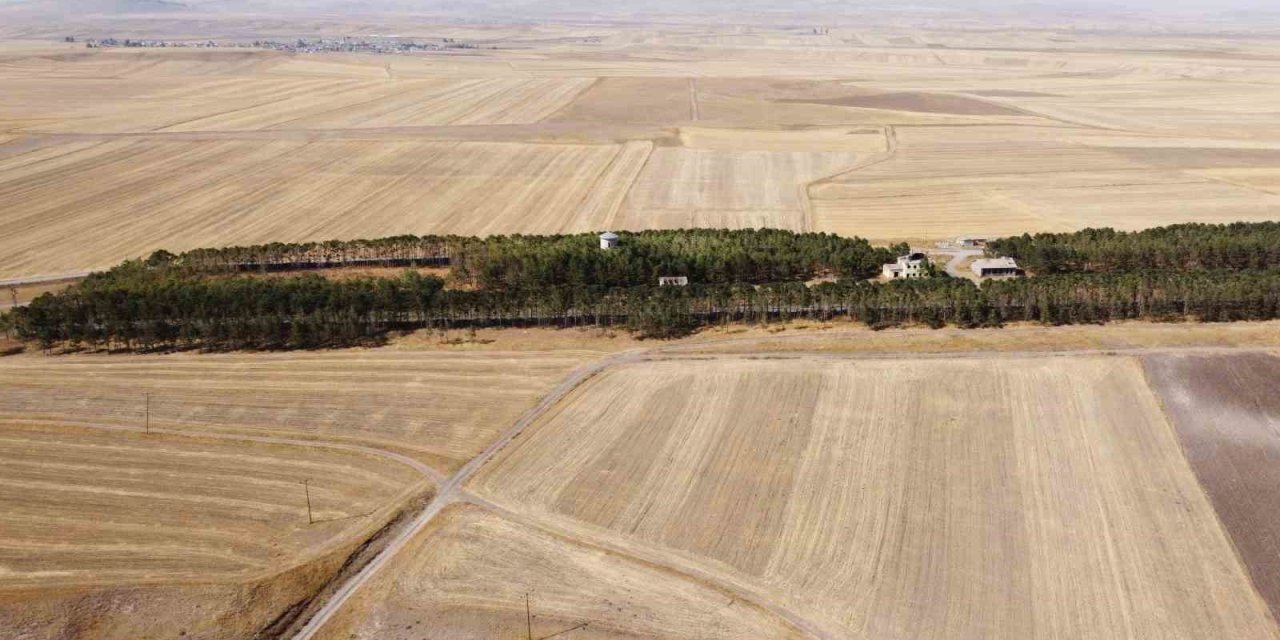 Kars’ta bozkırın ortasındaki vaha havadan görüntülendi