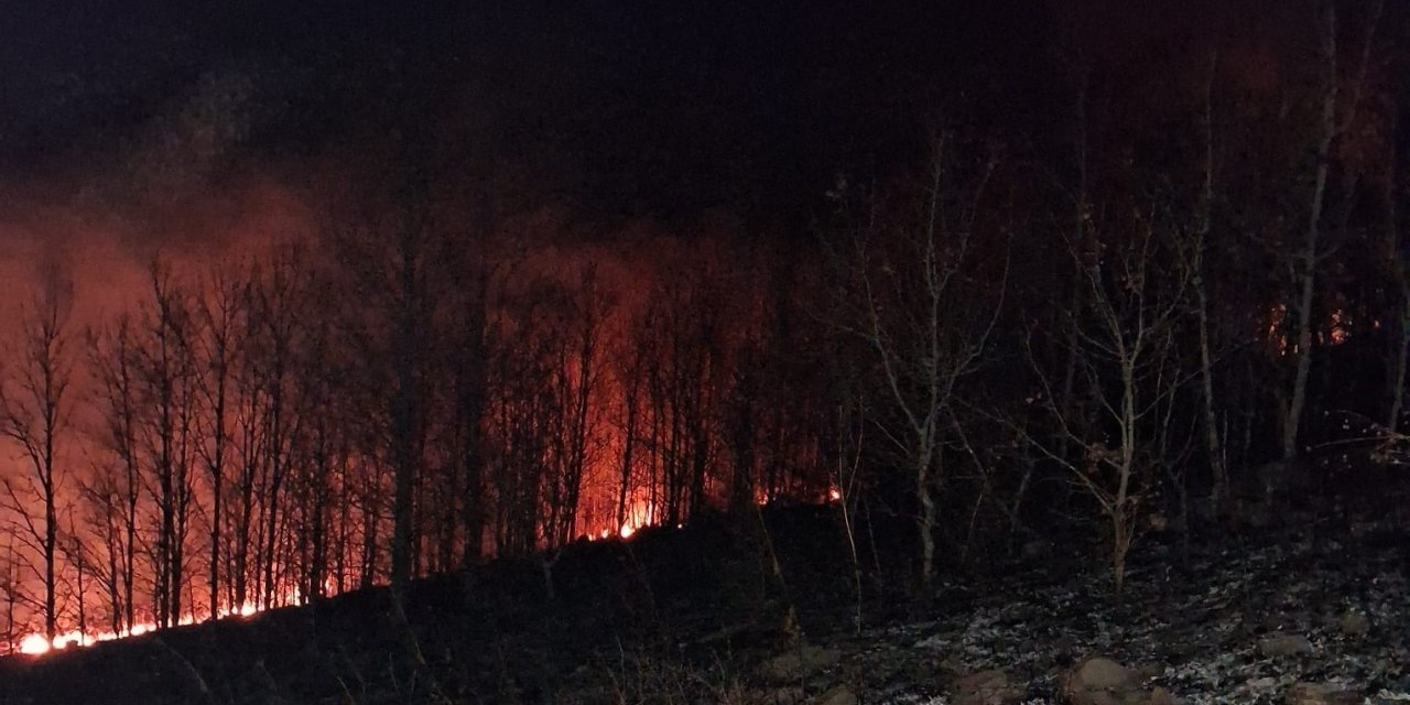 Erzurum'un Oltu ilçesinde örtü yangını korkuttu
