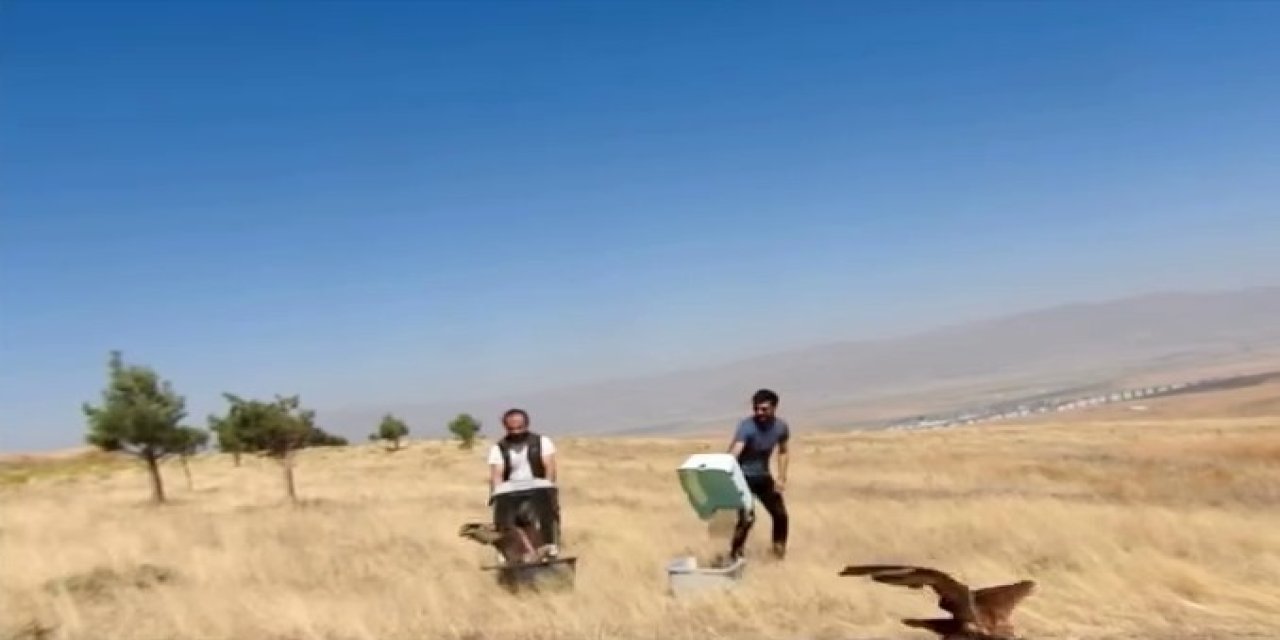 Erzurum'da Kızıl Şahinler özgürlüğe uçtu