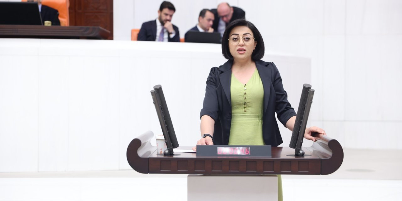 Öznur Bartın, Van–Hakkâri yolundaki ölümlü kazaları Meclis’e taşıdı