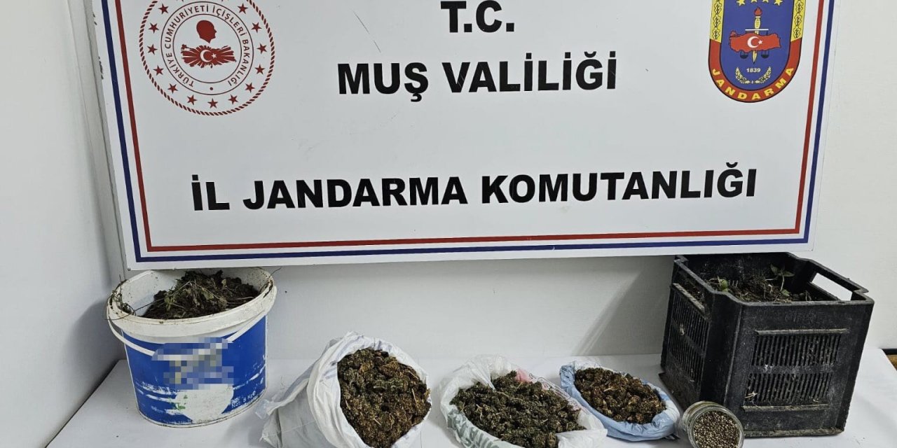 Muş’ta uyuşturucu operasyonu yapıldı