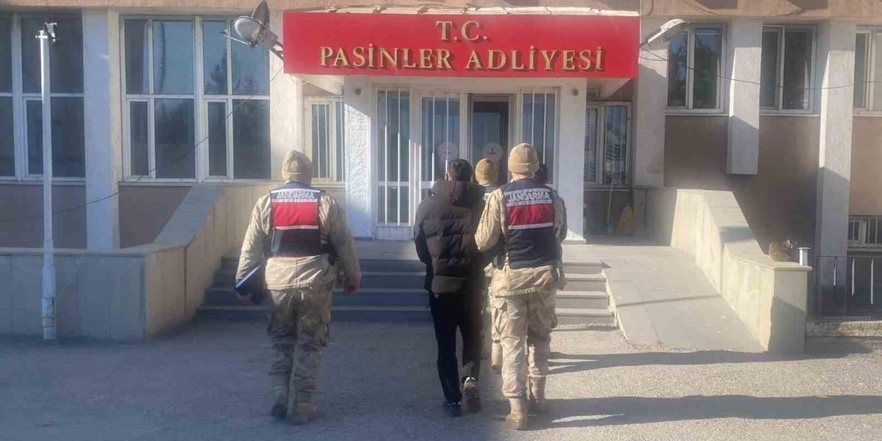 Jandarma Erzurum'da büyükbaş hayvan hırsızlarını kısa sürede yakaladı