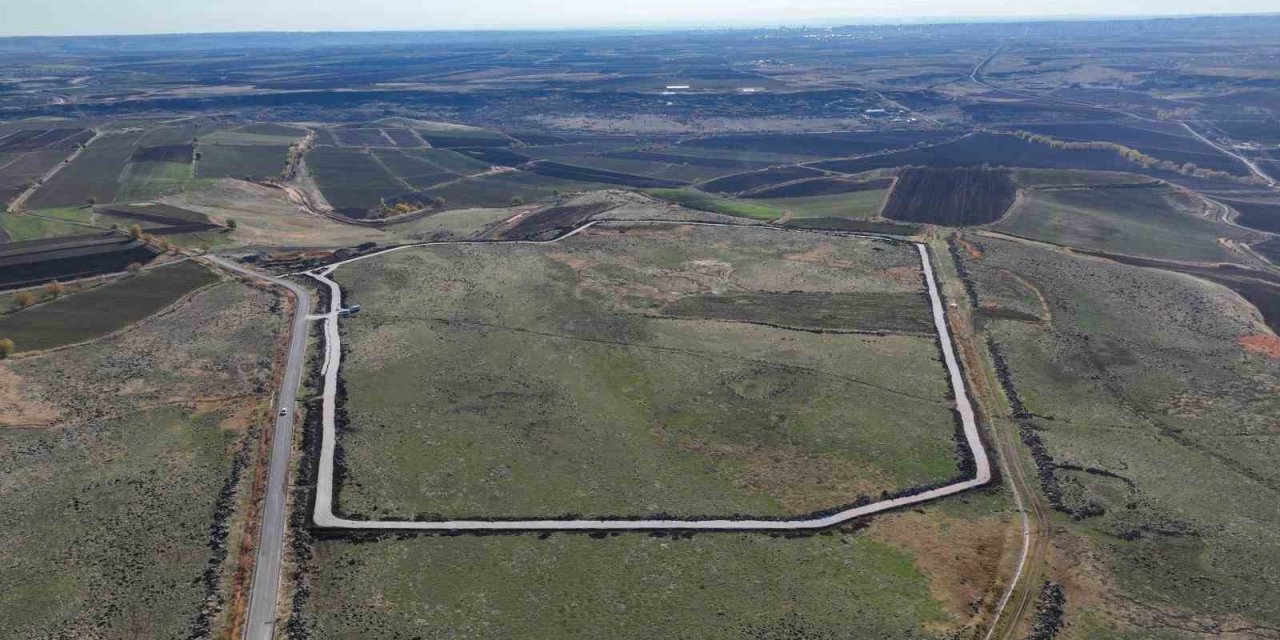 Diyarbakır'da doğal yaşam alanı 195 dönüm üzerinde kurulacak