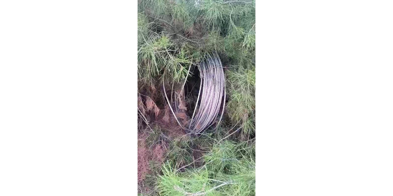 Şanlıurfa’da hırsızlar bölgeyi elektriksiz bıraktı