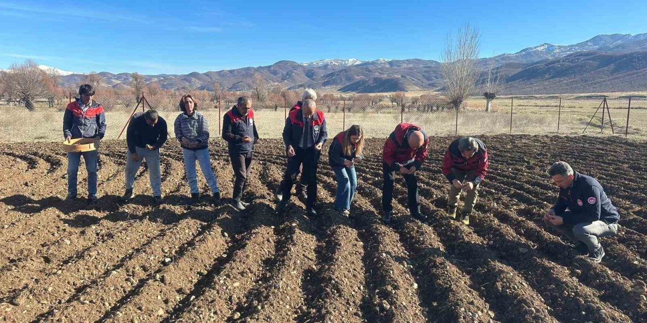 Tunceli’de sarımsak ekimi yapıldı