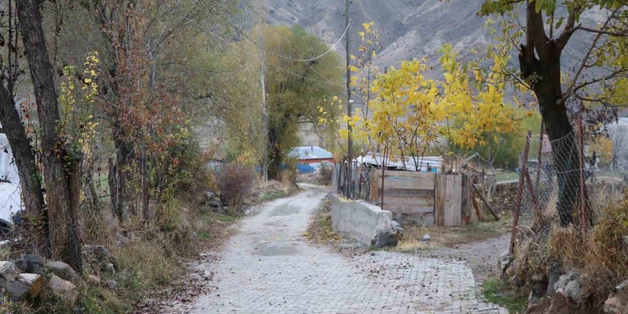 Erzurum'un Oltu ilçesinde 115 bin metrekare parke taş döşendi