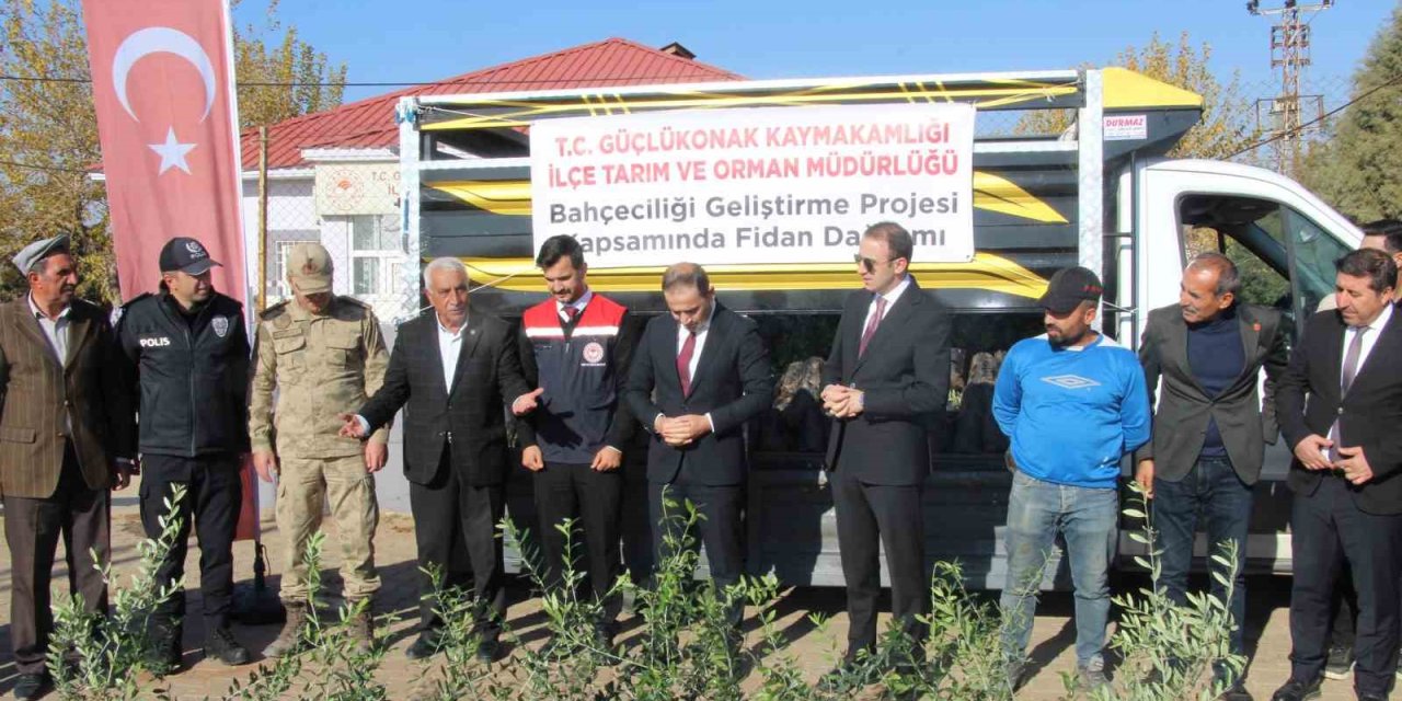 Şırnak'ta çiftçilere 4 bin zeytin fidanı dağıtıldı