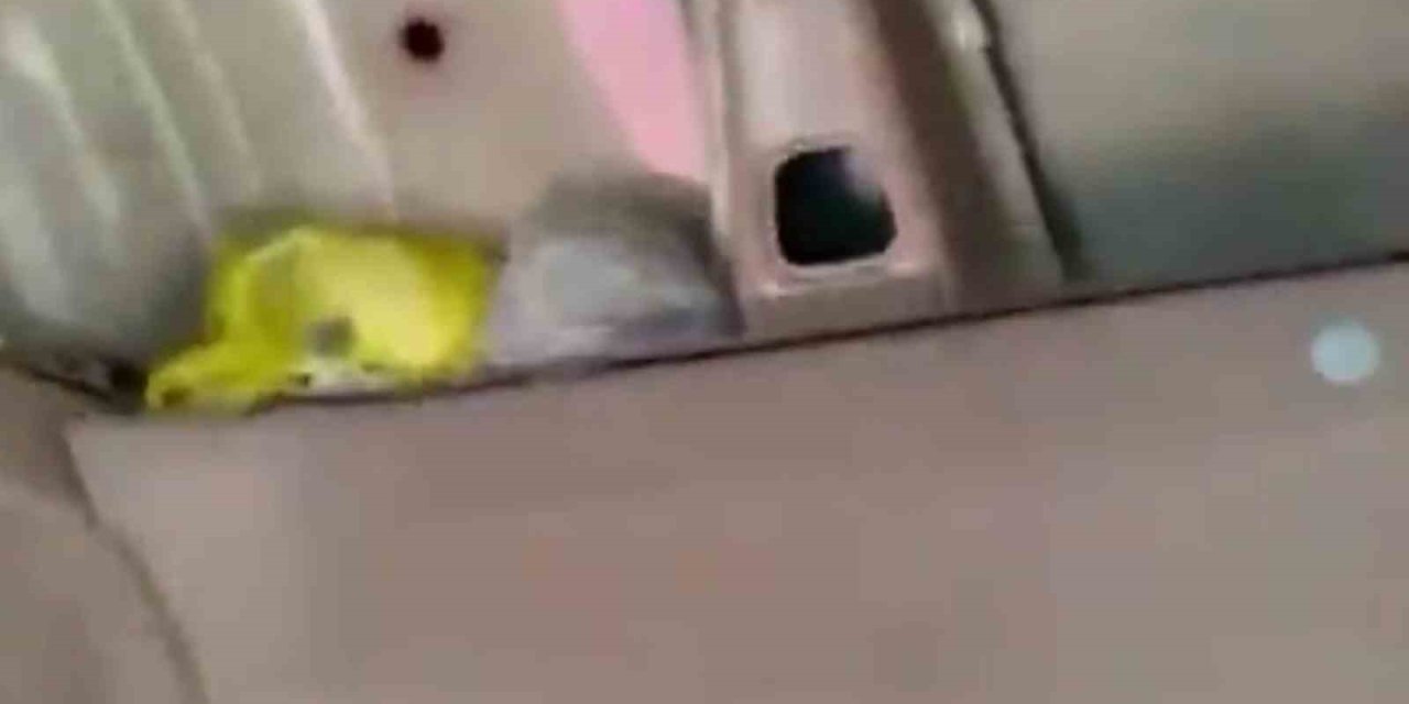 Elazığ’da yaklaşık 2 kilo metamfetamin ele geçirildi: 4 kişi utuklandı