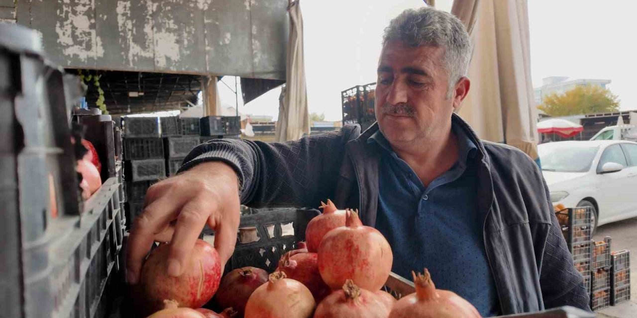 Kuraklık Zivzik narında verimi yarı yarıya düşürdü