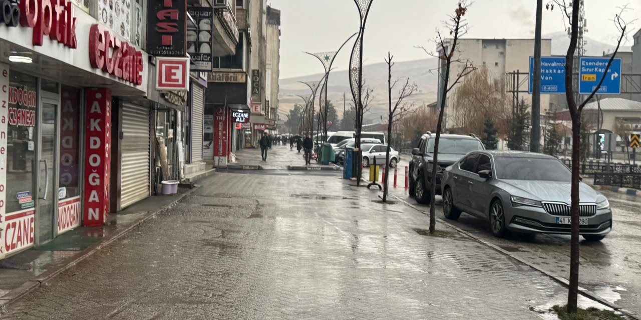 Yüksekova’da sağanak yağış etkili oldu