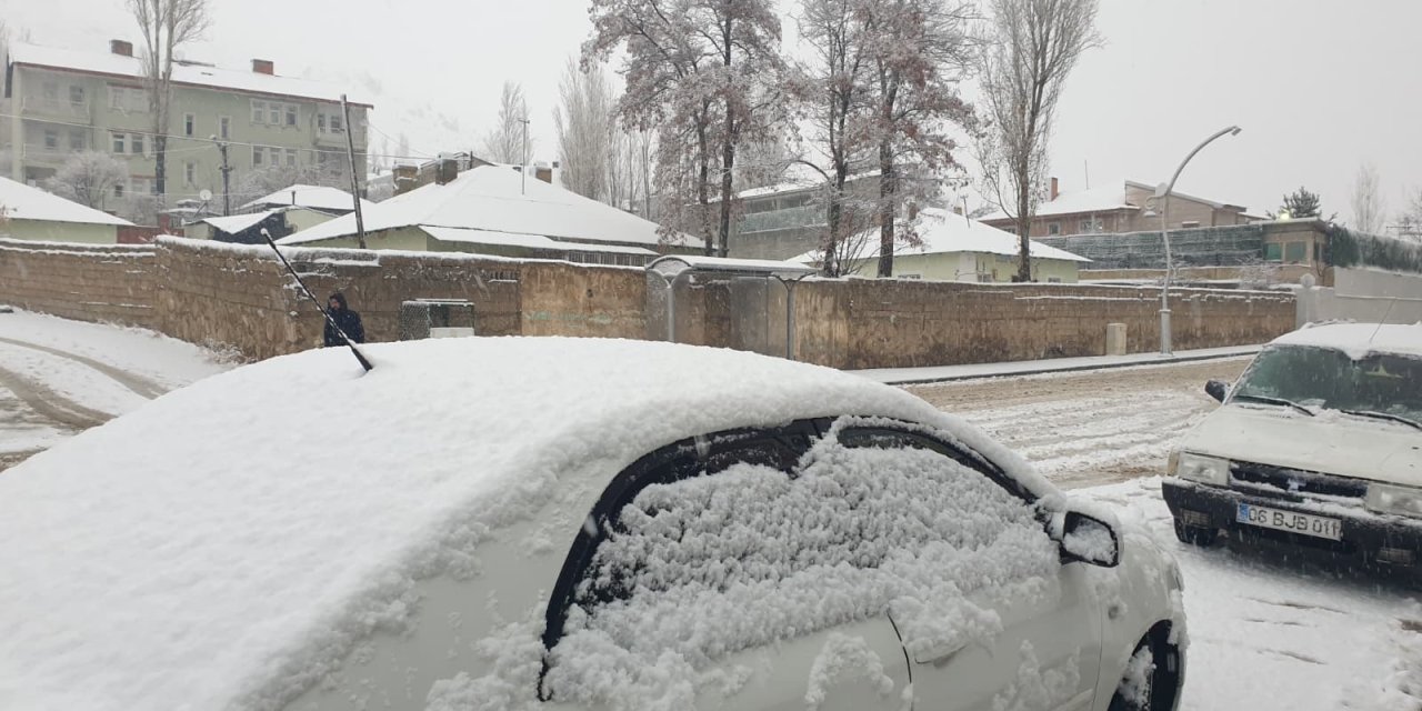 Başkale'de kar yağışı etkili oldu