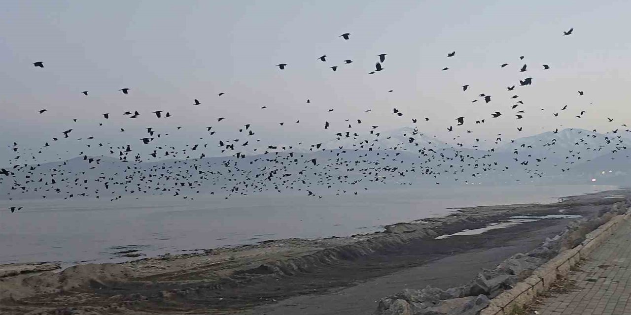 Tatvan sahilinde gökyüzünde şaşırtan manzara