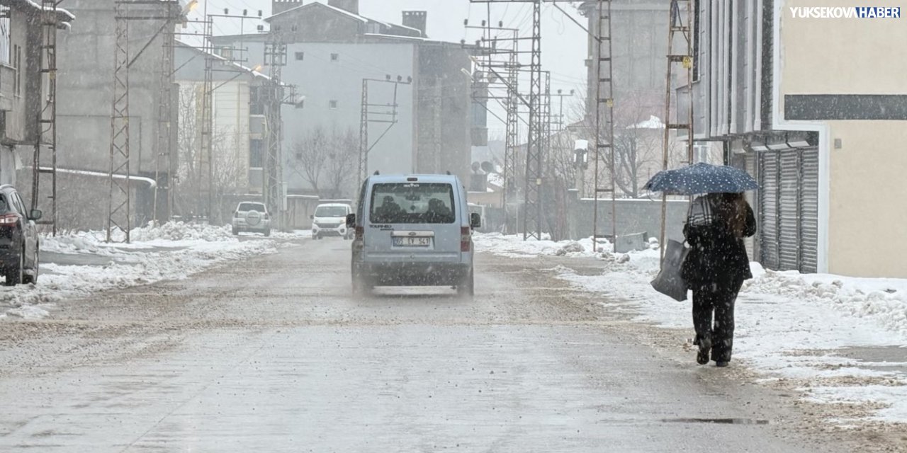 Hakkari ve ilçeleri için hava tahmini: Cumartesi hafif kar yağışlı, diğer günler puslu