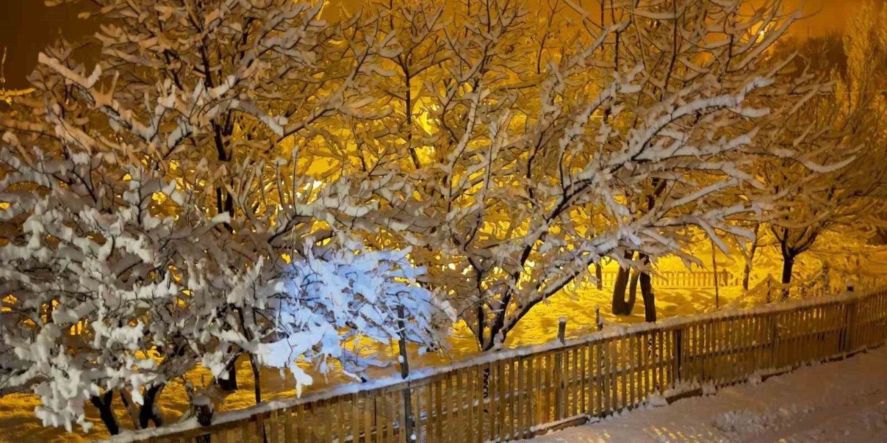 Ahlat’ta kar yağdı