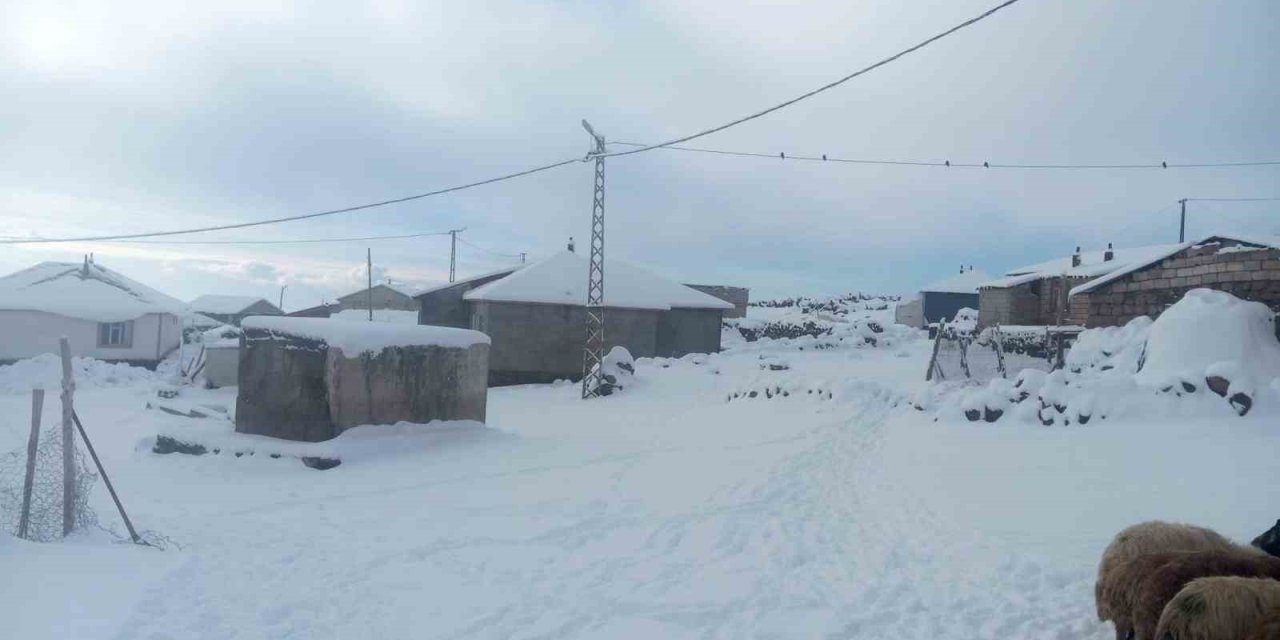 Türkiye’nin en yüksek köyü Kışkılı’da besiciler zor durumda kaldı