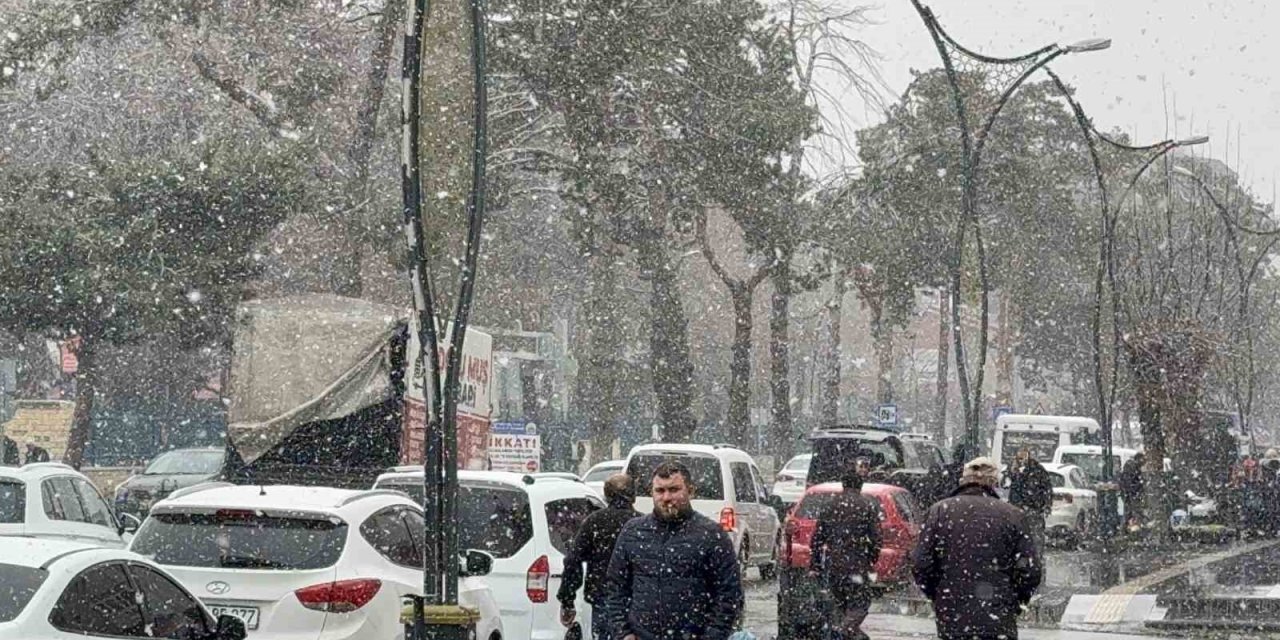 Tatvan’da kar yağışı etkili oldu