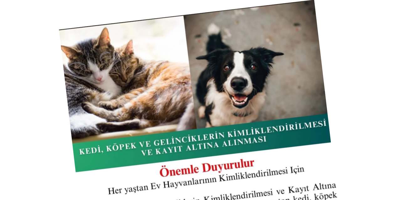 Evcil hayvanlar için kimliklendirme süresinde son tarih açıklandı