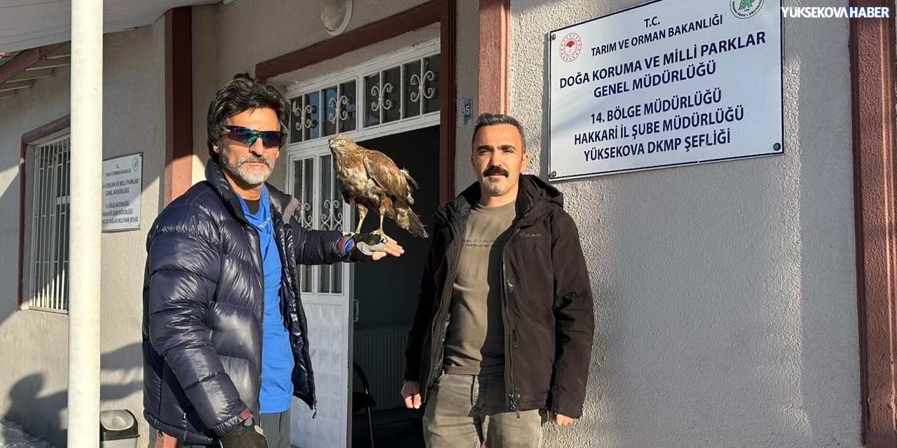 Tedavi ettiği kızıl şahini Doğa Koruma Yüksekova şefliğine teslim etti