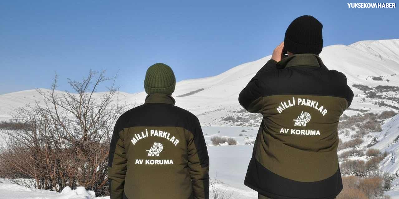 Hakkâri’de yasa dışı avcılığa 956 bin liralık ceza