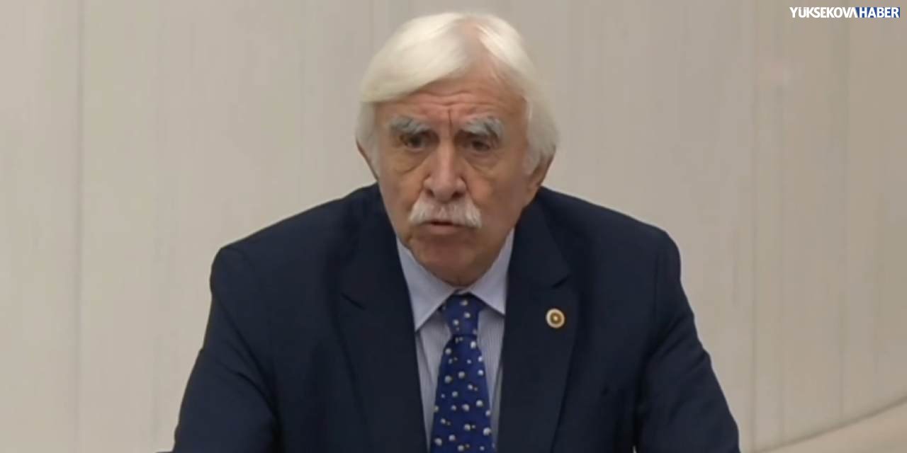 Cengiz Çandar Bursa adına Leyla Zana'dan özür diledi