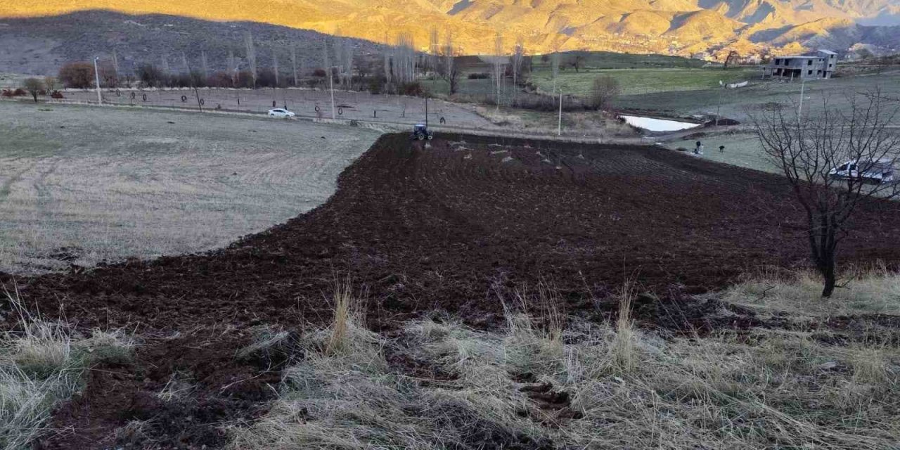 Şırnak'ta arpalar kar yağmadan toprakla buluşuyor