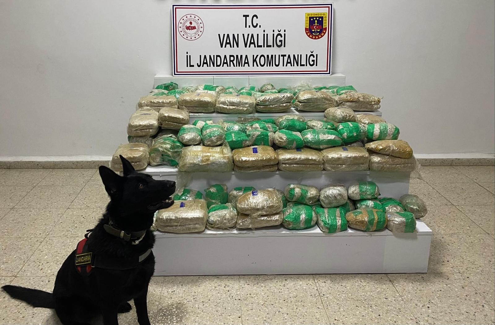 Başkale'de 51 kilo skunk ele geçirildi